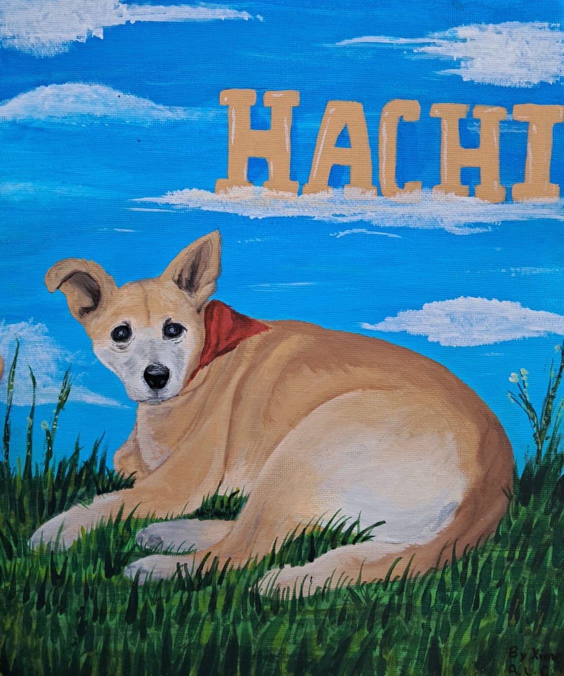 Hachi